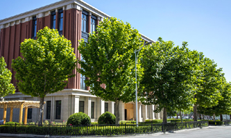 Ƽ(jng)I(yng)W(xu)Ժ