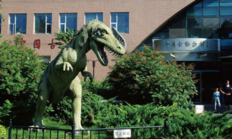 ЇƌW(xu)Ժż׵(dng)cо