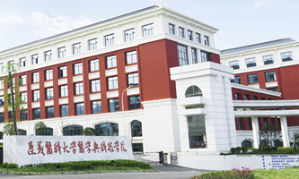 xt(y)ƴW(xu)t(y)W(xu)cƼW(xu)Ժ