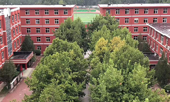 ʯfͬ(chung)F·\(yn)ݔW(xu)У