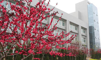 �������ՌWԺ