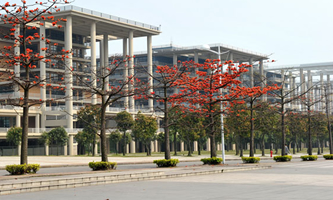 V|I(y)W(xu)2022ˮƽ\(yn)(dng)(du)(bo)Y(f)wI(y)y(c)ԇУ