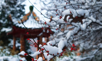 Ͼؔ(ci)(jng)W(xu)tɽW(xu)Ժ