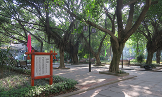 �Ĵ�ʡ�p���ЌW(xu��)