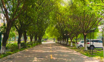 �����п��Q(m��o)�I(y��)���g(sh��)�W(xu��)У