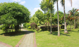 �����Ќ�ɽ�I(y��)���g(sh��)�W(xu��)У