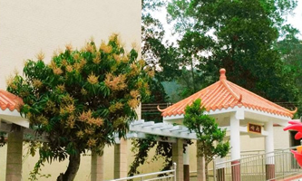 ��������������W(xu��)У