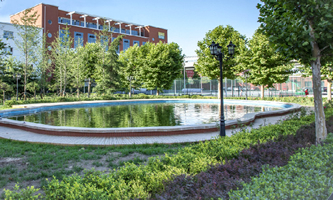 Ƽ(jng)I(yng)W(xu)Ժ