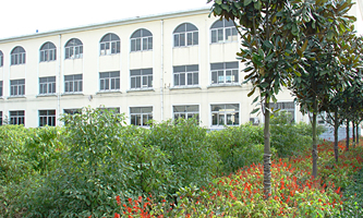 ��������W(xu��)У