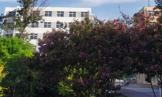 ʯ���f����ϣ���I(y��)�Ќ��W(xu��)У