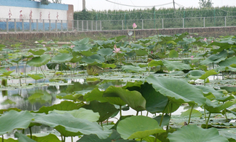 ɽSυ^(q)r(nng)I(y)g(sh)߼ЌW(xu)