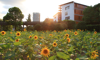 Ї(gu)g(sh)W(xu)Ժ2022Ƚ܌W(xu)(hu)ƌW(xu)оY(xing)Ŀ