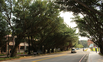 �������A��W(xu��)