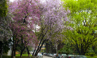 AW(xu)2022Ƚ܌W(xu)ƌW(xu)оY(xing)Ŀ