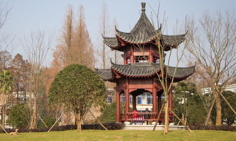 Ar(nng)I(y)W(xu)2022Ƚ܌W(xu)ƌW(xu)оY(xing)Ŀ