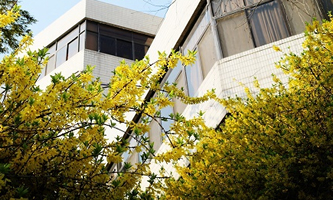 Ͼؔ(ci)(jng)W(xu)tɽW(xu)Ժ