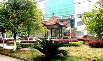 ��ꖎ����W(xu��)Ժ�����W(xu��)Ժ