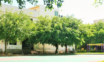 �麣һ���W(xu��)У