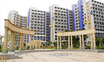 ���T�ňD���I(y��)���g(sh��)�W(xu��)У