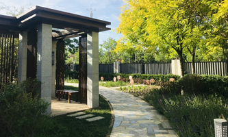 мtI(y)еȌI(y)WУ