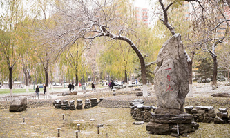 ЇW(xu)2022Ƚ܌W(xu)ƌW(xu)оY(xing)Ŀ