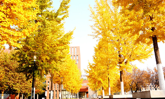 ڶ(gu)Z(y)W(xu)ԺƵW(xu)Ժ