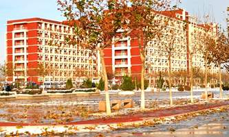 t(y)ƴW(xu)Rt(y)W(xu)Ժ