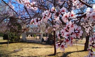 W(xu)Эh(hun)ϢW(xu)Ժ