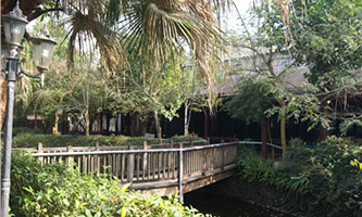 ����ʡ���I(y��)�WУ