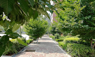 ���T(m��n)�{����݅^(q��)�еȌ��I(y��)�W(xu��)У