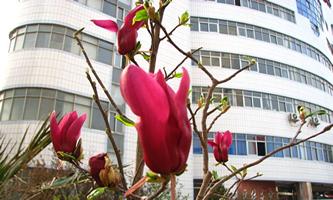 ����ʡ���I(y��)�WУ