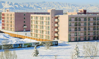 �����������ތWԺ