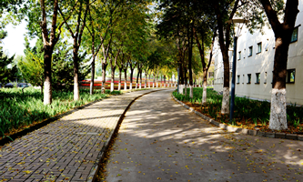 �������ҕ�Ӌ(j��)�W(xu��)Ժ