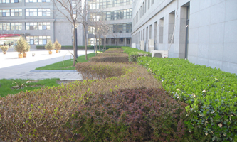 ЇƌW(xu)ԺƌW(xu)cYԴо